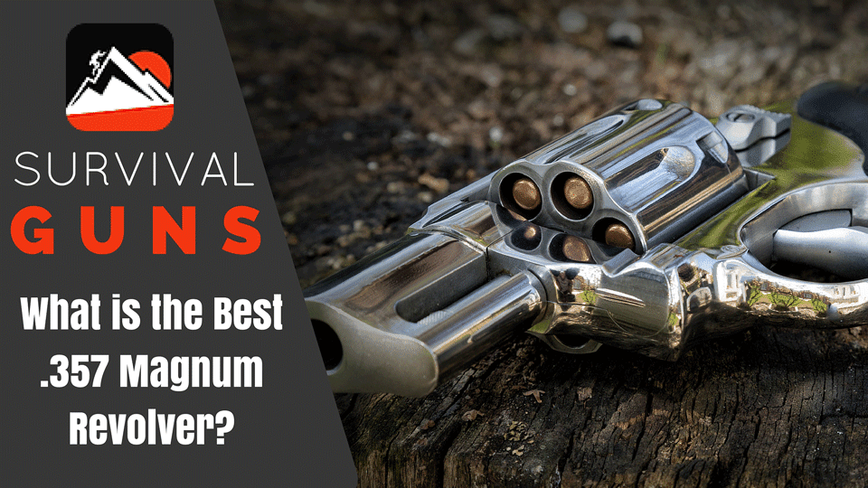 Tips to choose the best magnum revolver