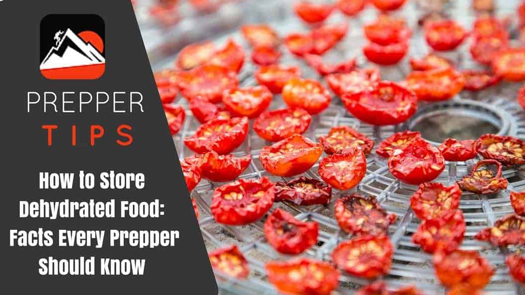 How to Store Dehydrated Food: A Preppers Guide