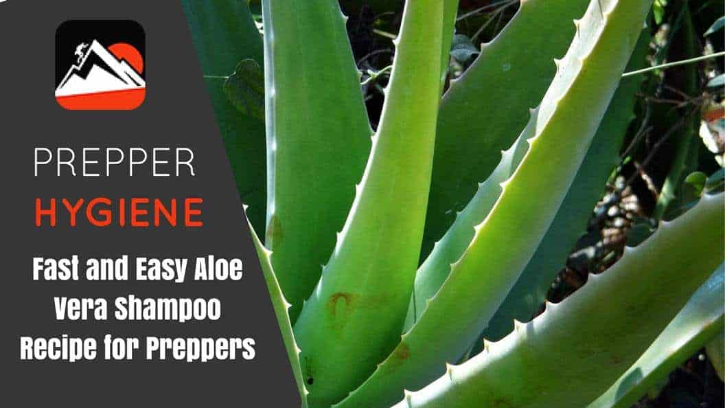 Aloe Vera Shampoo Recipe Featured Image