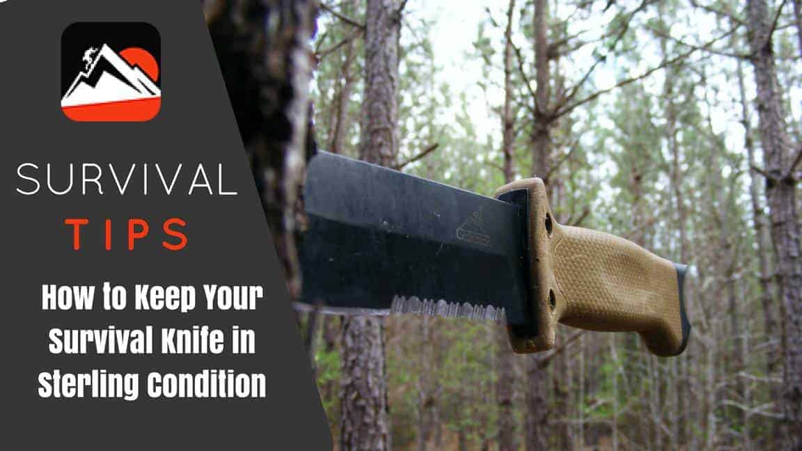 How to Keep Your Knife in Great Condition