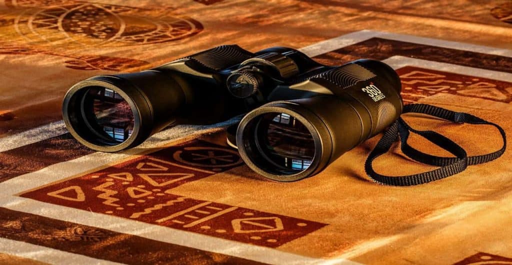 Best Binoculars for Survival Featured Image