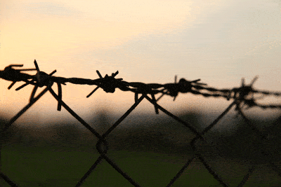 installed-barbed-wire-to-protect-your-property