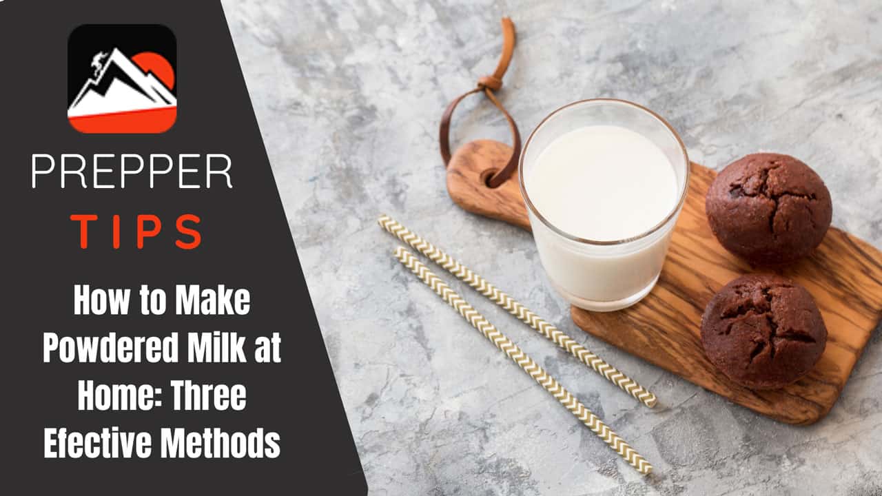 How to Make Powdered Milk at Home: Three Effective Methods