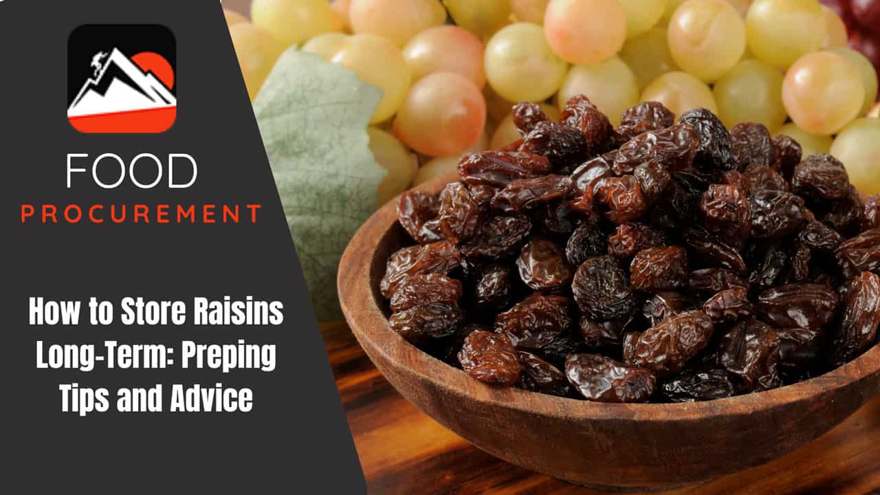 How to Store Raisins Long-Term: Preping Tips and Advice