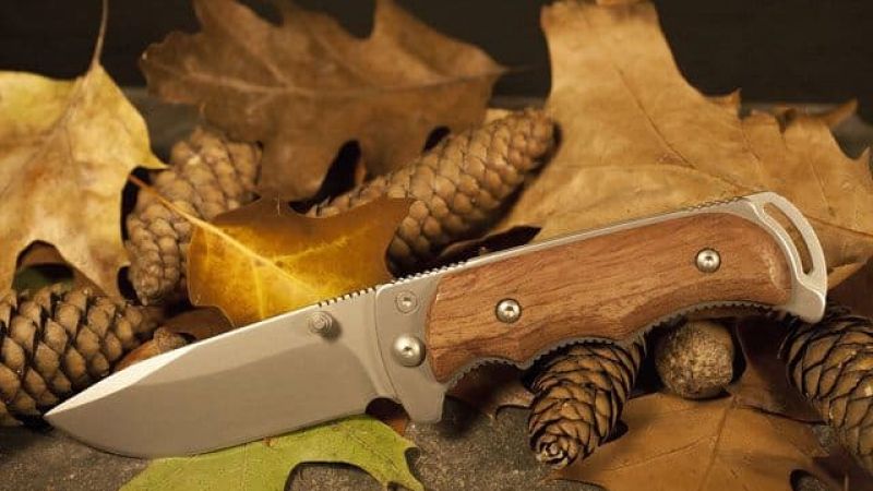 Top Knives for Bushcraft